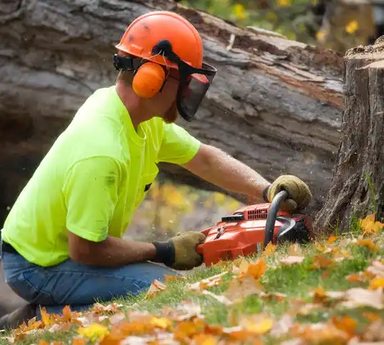 tree services Milan